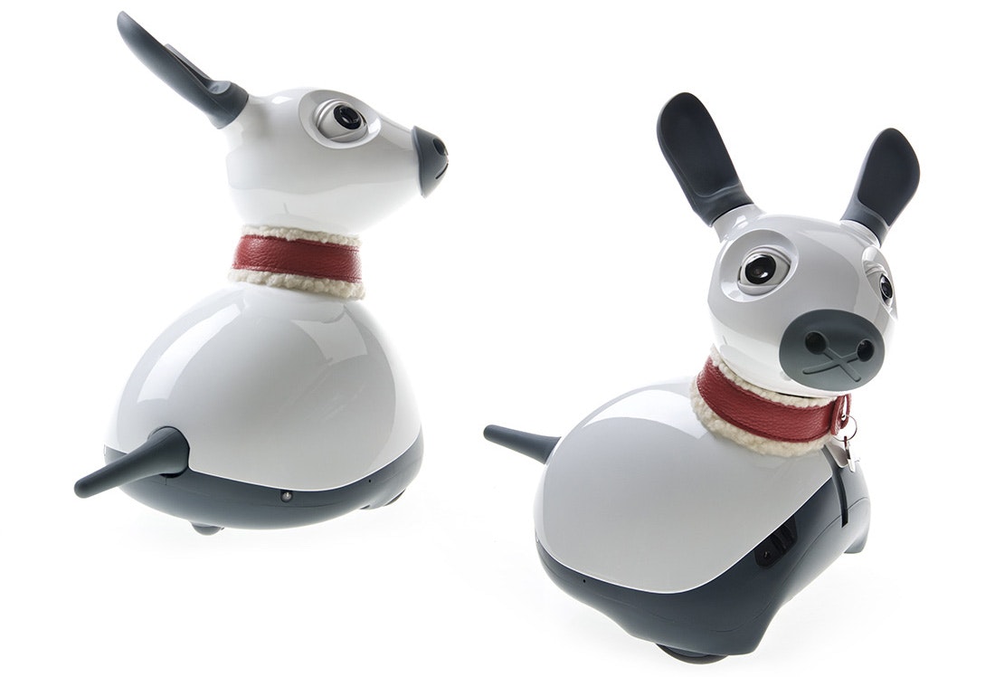Consequential Robotics has developed the rabbit-like MiRo. 