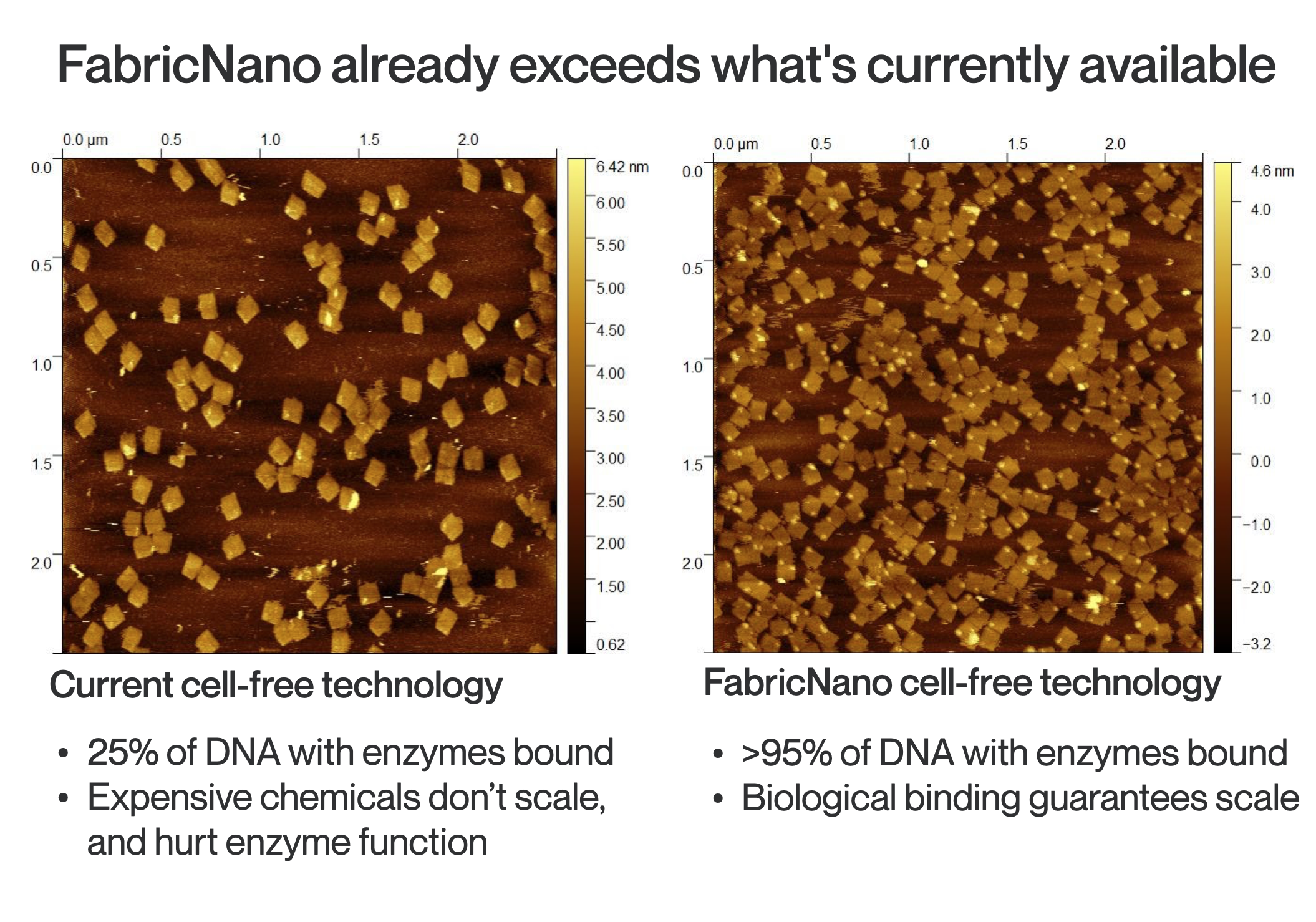 FabricNano image of enzyme placement