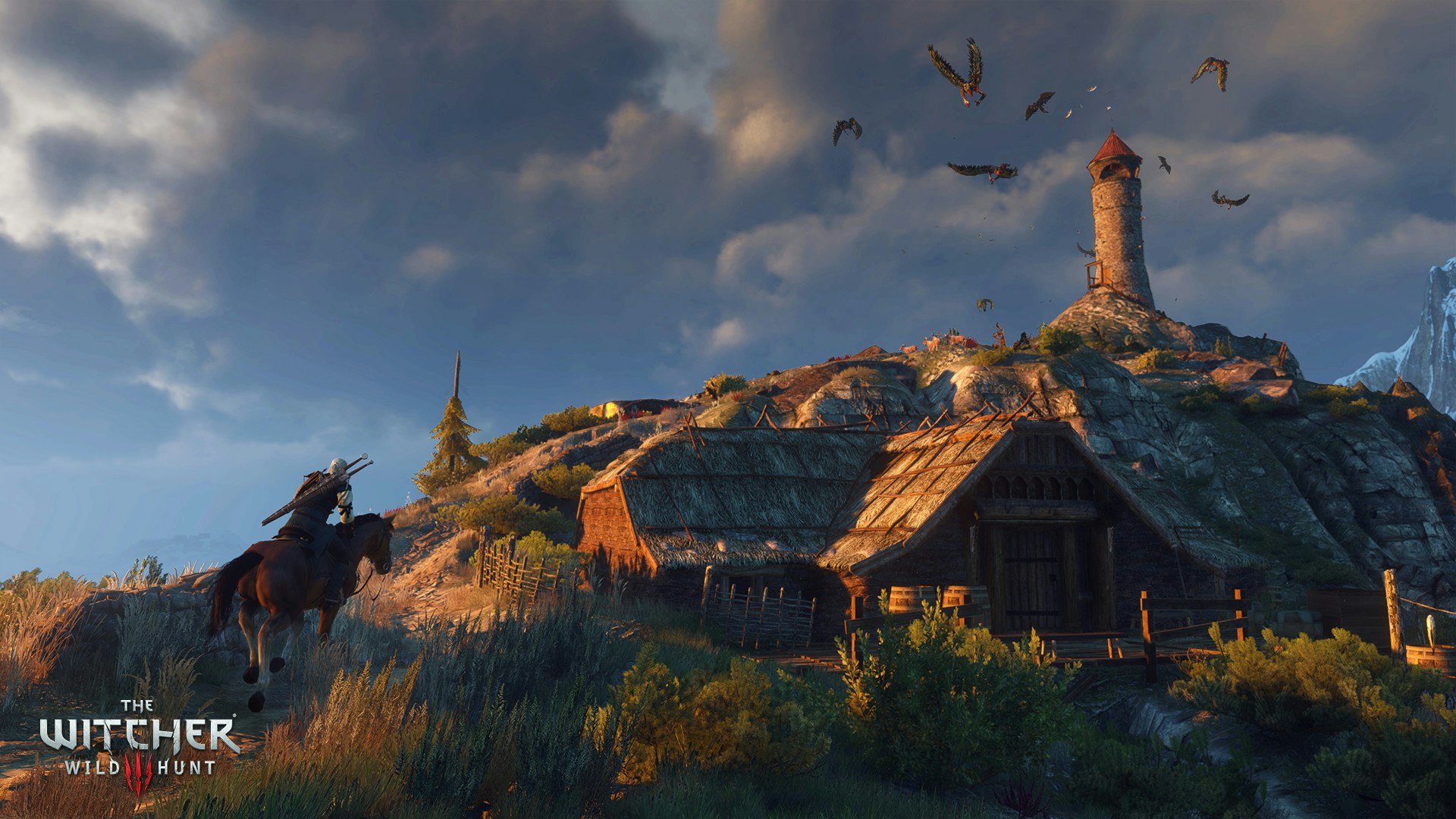 Screenshot from video game Witcher 3 by CD Projekt Red