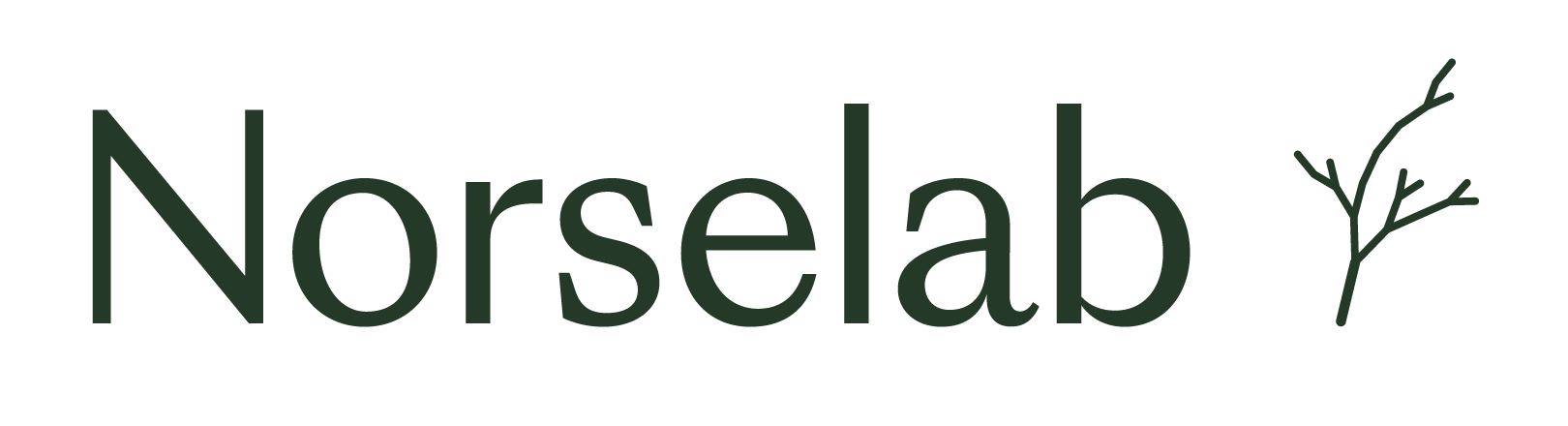 Norselab's logo